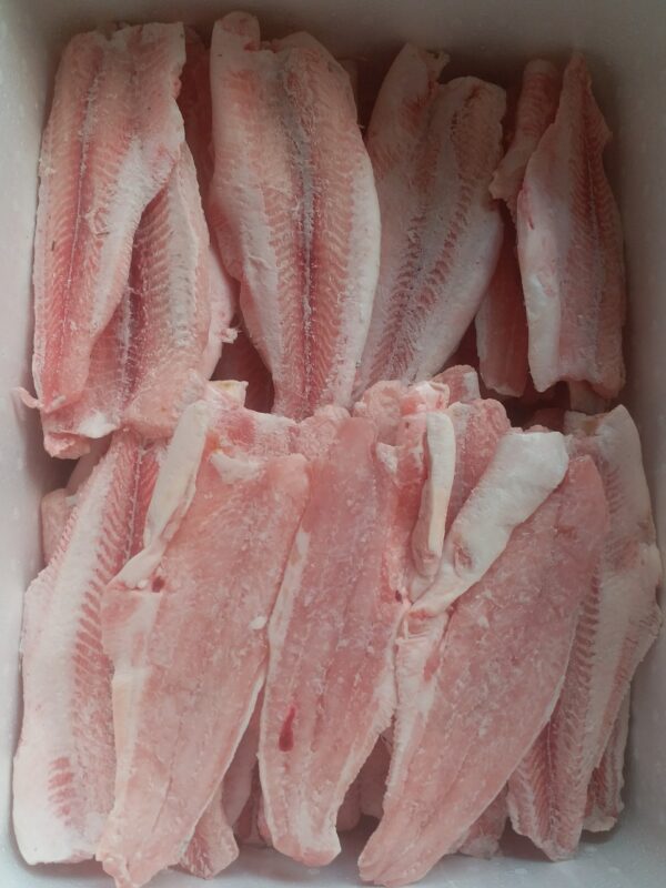 Cá tra Fillet, làm sạch, còn thịt đỏ, còn mỡ, đông lạnh
